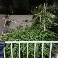 اجازه-منزل-ویلایی-طبقه-همکف-حیاط-دار