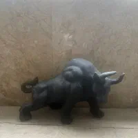 جذاب های دوست داشتنی