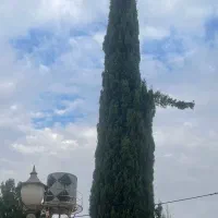 باغشهری|فروش خانه و ویلا|شیراز, مسلم|دیوار