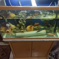 فروش دو عدد آکواریوم با کلی لوازم