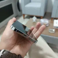 iphone 13 pro max|موبایل|رفسنجان, |دیوار