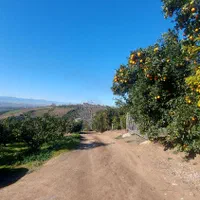 زمین دو نبش با چشم انداز ابدی