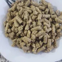 فروش خوراک دام پرواری برای گوسفند گاو و گوساله|لوازم جانبی حیوانات|شیراز, شهرک صنعتی شیراز|دیوار