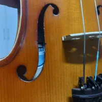 ویولن تی اف ۱۴۲ آکبند|ویولن|گنبد کاووس, |دیوار