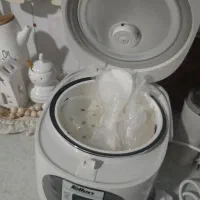 پلوپز،بخارپز چندکاره فلر|اجاق گاز و لوازم برقی پخت‌وپز|مینودشت, |دیوار