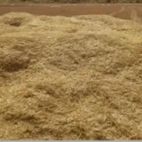 تعداد پانزده باک کاه سفید