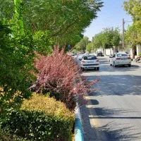 200متر-منتظری-شمالی