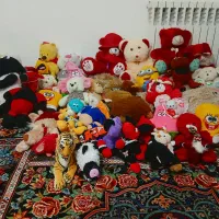 عرویک پولیشی