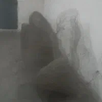 فنس پرنده