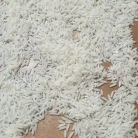 فروش برنج طارم و لاشه طارم|خوردنی و آشامیدنی|جویبار, |دیوار