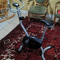 دوچرخه ثابت