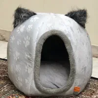 جای خواب گربه