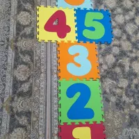لی لی فومی