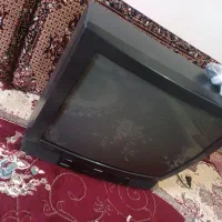 تلوزیون