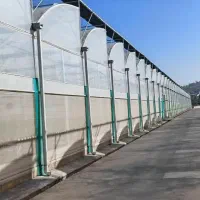 گلخانه نو و دست دوم