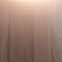 فروش چوب گردو خشک|مصالح و تجهیزات ساختمان|شهریار, شهرک بهاران (ویره)|دیوار