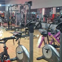 دفتردار باشگاه بدنسازی آقایان