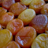 قیصی کارتنی