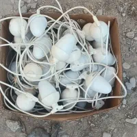 لامپ ریسه ای قیمت مناسب