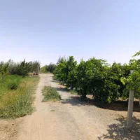 باغ و باغچه روستای حصار حاجیلار ( کشتیبان)|فروش خانه و ویلا|ارومیه, |دیوار