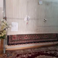 فرش ۶ متری ماهی نیمه کاره