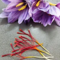 زعفران درجه یک محصول باغ خودمون زعفران  لرستان|خوردنی و آشامیدنی|لاهیجان, گلستان|دیوار