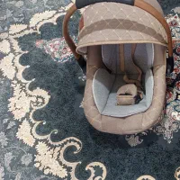 یک عدد کریر نو