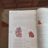 زیست شناسی جامع خیلی سبز ۴۰۴|کتاب و مجله آموزشی|تهران, فردوسی|دیوار