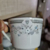 سرویس ۶نفره ژاپنی قدیمی(گل یخ)|ظروف سرو و پذیرایی|تهران, مختاری|دیوار