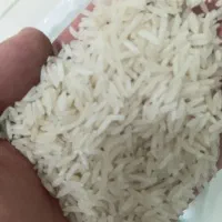 برنج طارم دمسیاه به شرط پخت