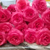 گل مصنوعی|گل مصنوعی|رشت, جهاد|دیوار