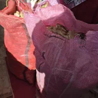 نان خشک