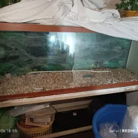 آکواریوم با پایه
