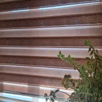 سه عدد پرده زبرا