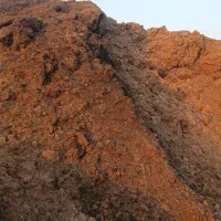 فروش تفاله نیشکر ( باگاس )