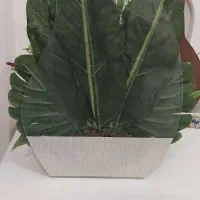 دوعدد گل مصنوعی درحد نو|گل مصنوعی|اندیشه, اندیشه فاز ۱|دیوار