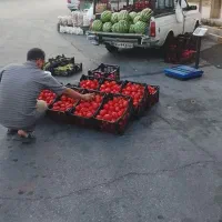 گوجه
