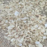موسیر|خوردنی و آشامیدنی|اصفهان, جلفا|دیوار