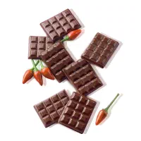 همکار آقا