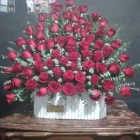 باغچه کاری تزین کاری|گل و گیاه طبیعی|شاهین‌شهر, عطار|دیوار