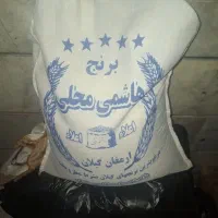 برنج هاشمی درجه یک گیلان