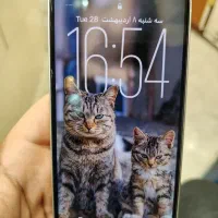 Iphone 13 normal|موبایل|تهران, صادقیه|دیوار
