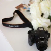 ۵ فرمالیته رایگان+فیلمبرداری مراسم با تخفیف ویژه|خدمات پذیرایی، مراسم|بیرجند, |دیوار