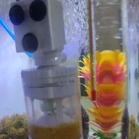 آکواریوم شرکتی دلسا مدل k500