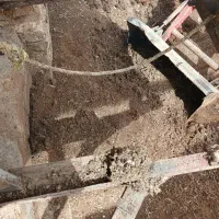 کودمرغ(زل مرغ).