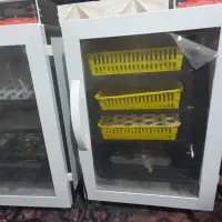 دستگاه جوجه کشی ققنوس در حد نو بسیار کم کارکرد