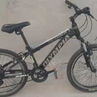 دوچرخه حرفه‌ای