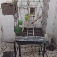 درود نوسالم