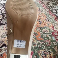 کفش|کیف، کفش، کمربند|قم, نیروگاه|دیوار