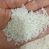 برنج علی کاظمی ارگانیک